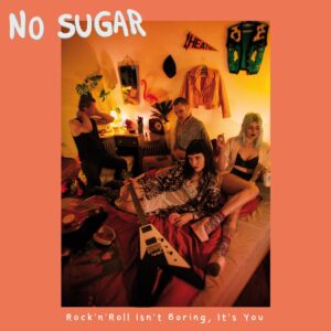 No Sugar - Rock'n'Roll Isn't Boring, It's You LP
