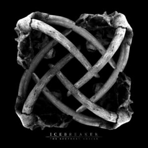 Southern Oracle, The - Icebreaker 10"