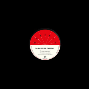 Dubamix - La Haine du Capital 12"