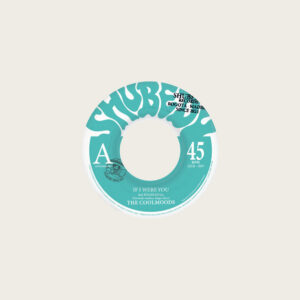 Coolmoods, The feat. Roger Rivas – If I Were You / 301 7"